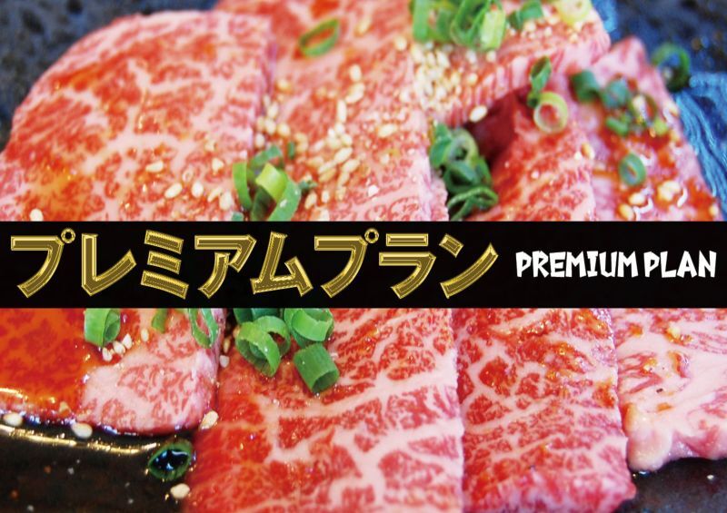 プレミアムプラン